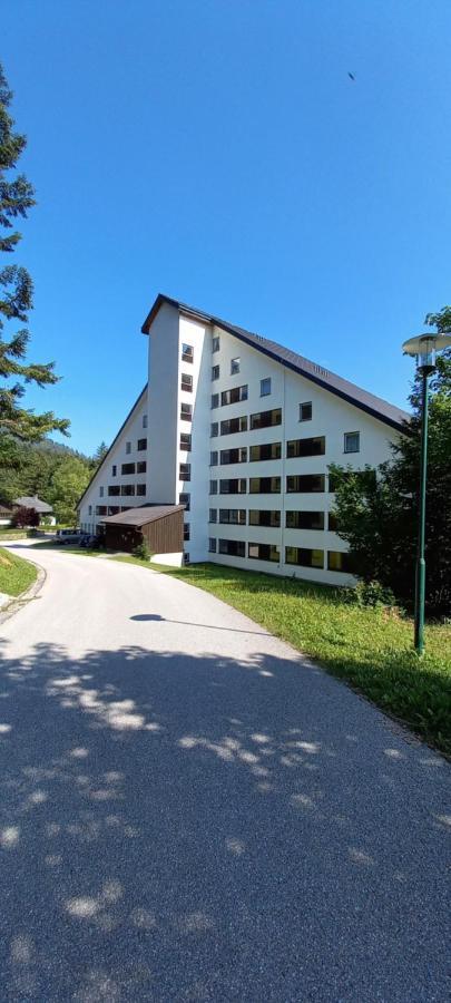 Apartment Kleine Auszeit Bad Mitterndorf Zewnętrze zdjęcie